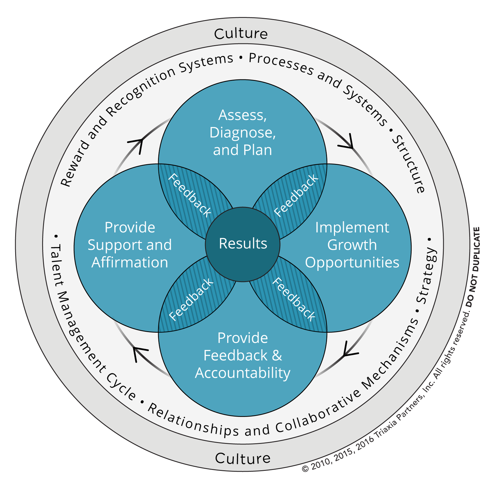 Triaxia Partners Results Based Executive Coaching Model